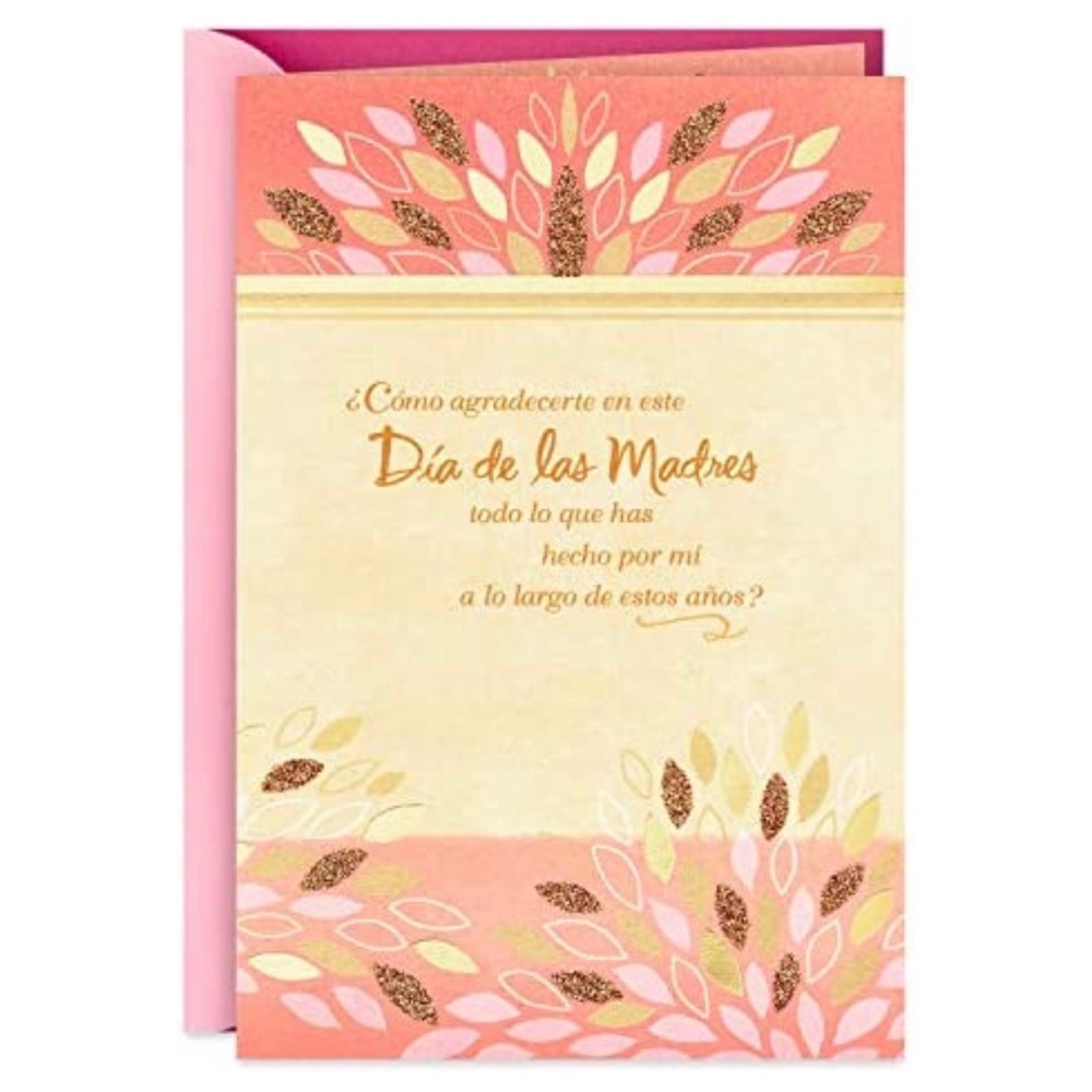 Hallmark VIDA Spanish Mothers Day Card for Mom (How Can I Thank You?)